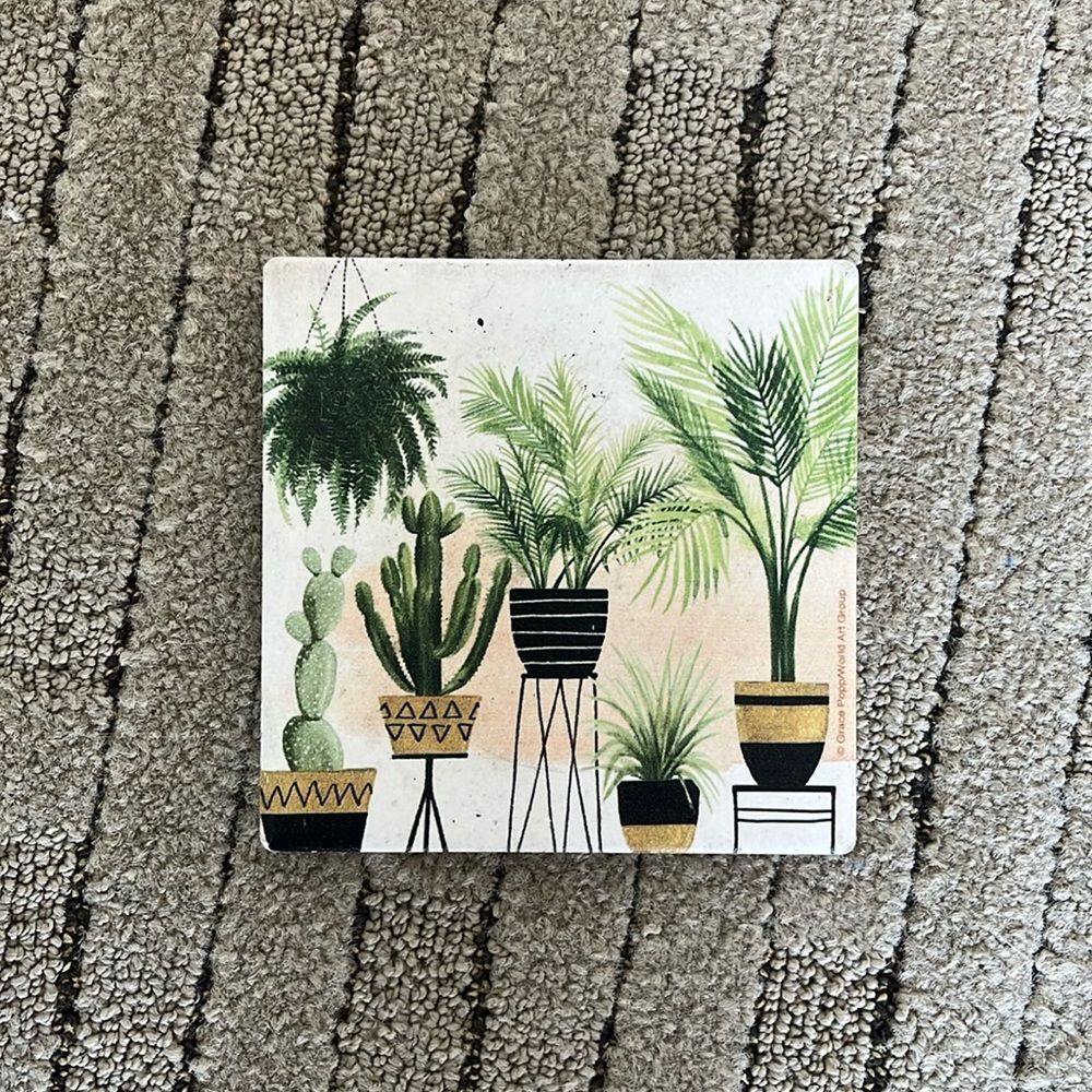 Thirstystone succulent inspired ceramic coaster